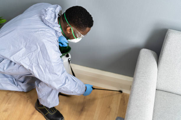 Best Residential Pest Control  in Balmville, NY